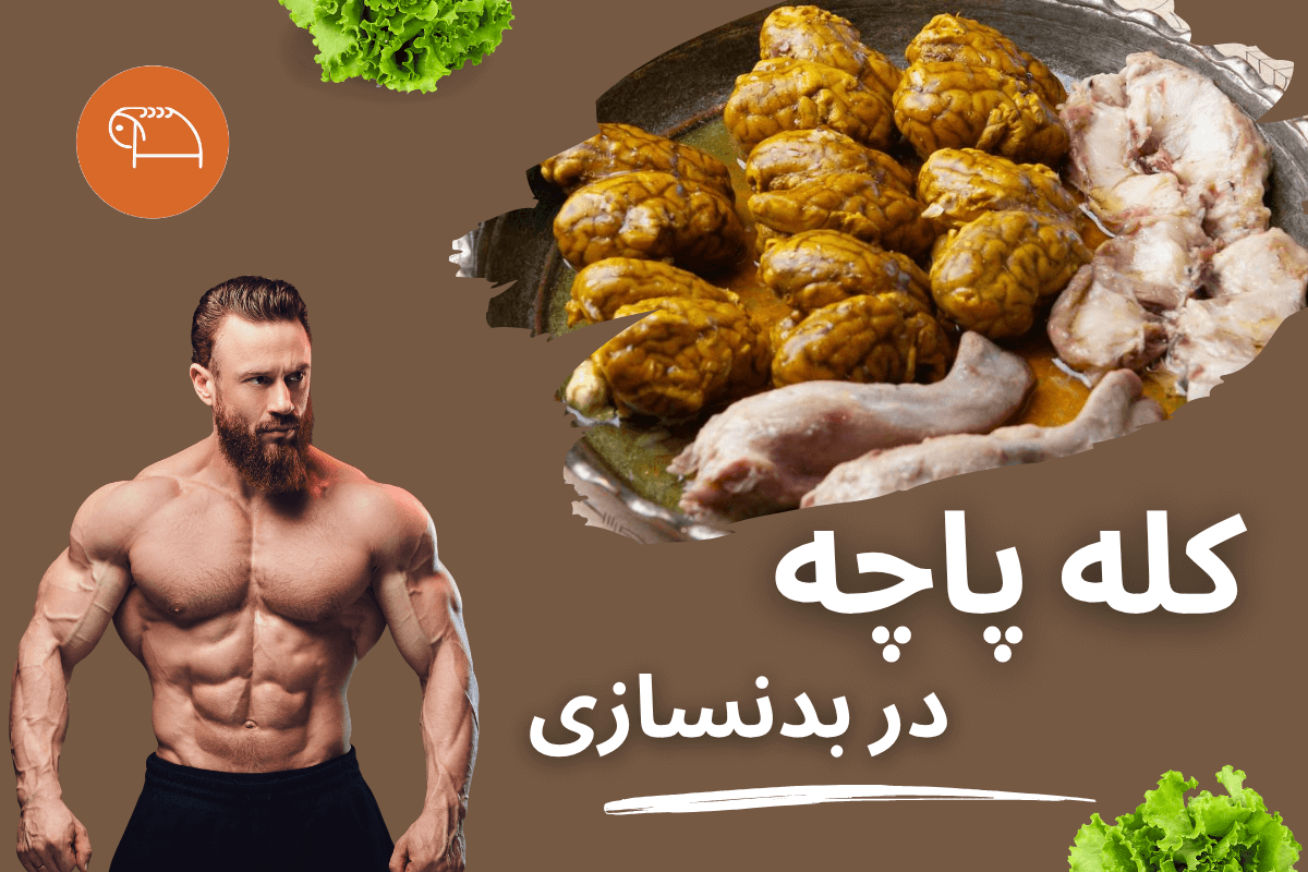 kaleh pache in body building bareh sefid