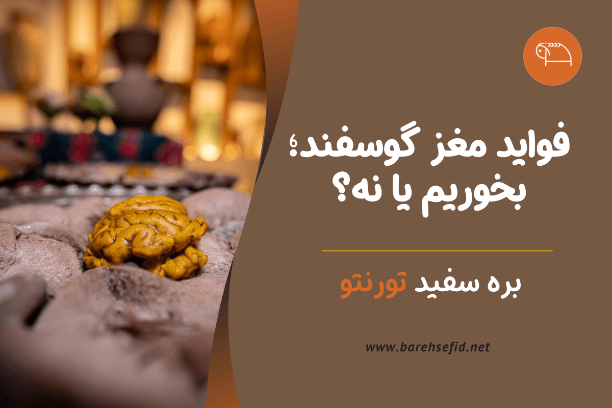 maghz goosfand benefits bareh sefid
